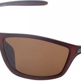 Daniel Klein DK3248COL02 Erkek Güneş Gözlüğü