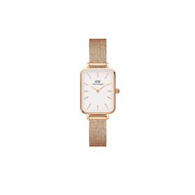 Daniel Wellington DW00600431 Kadın Kol Saati