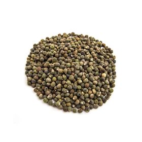 Daniska 200 gr Bamya Tohumu