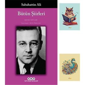 Dara Yayınları - Bütün Şiirleri - Sabahattin Ali