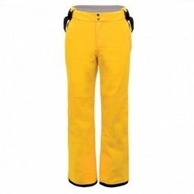 Dare2b Certify Pant II Erkek Kayak Pantolonu