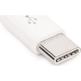 Dark Usb Type-C Erkek Mıcro Usb Dişi Çevirici