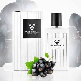 David Walker Fowred Black B172 Oryantal EDP 50 ml Kadın Parfüm