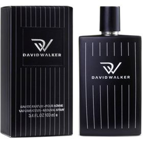 David Walker Fragrances Zoro E174 Baharatlı EDP 100 ml Erkek Parfümü