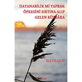 Dayanabilir mi Yaprak Öfkesini Sırtına Alıp Gelen Rüzgara - Ali Olgun