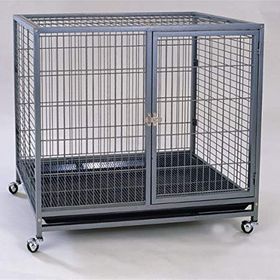 Dayang 91x70 cm Katlanabilir Eğitim Çok Amaçlı Köpek Çiti
