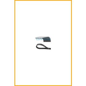 Dayco 10PK1725HD Kanallı V Kayışı