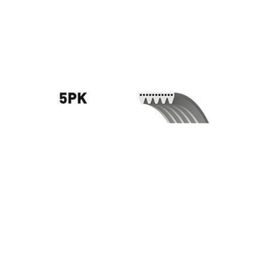 Dayco 5PK0820 Kanallı Kayışı