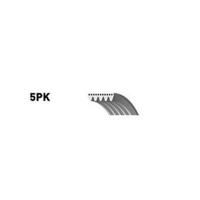 Dayco 5PK1028S Kanallı Kayış