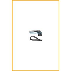 Dayco 5PK1310S Kanallı V Kayışı