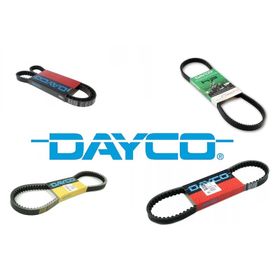 Dayco 6PK1330 Kanallı Kayış