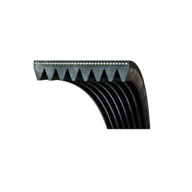 Dayco 6PK1890 Kanallı V Kayışı