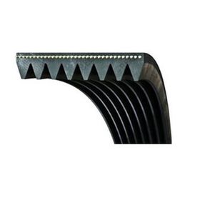 Dayco 6PK1890 Kanallı V Kayışı