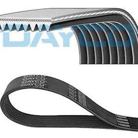 Dayco 8PK1165HD Kanallı V Kayısı