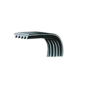 Dayco 8PK1355 Kanallı V Kayısı