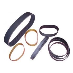 Dayco 8PK1355 Kanallı V Kayısı