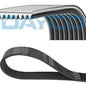 Dayco 8PK1520HD Kanallı V Kayışı