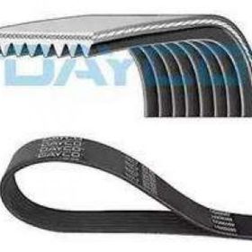 Dayco 8PK1815HD Kanallı V Kayısı