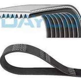Dayco 8PK1815HD Kanallı V Kayısı