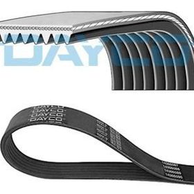 Dayco 8PK2630HD Kanallı V Kayısı