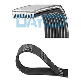 Dayco 8PK2630HD Kanallı V Kayısı