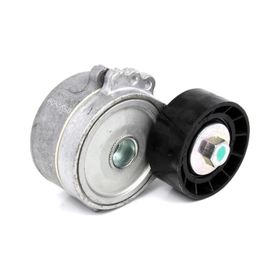Dayco APV1030 Alternatör Gergi Rulmanı