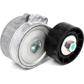Dayco APV1030 Alternatör Gergi Rulmanı