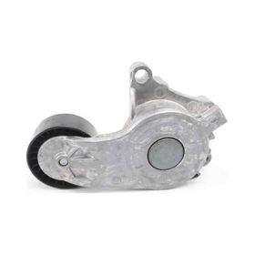 Dayco APV3797 Alternatör Gergi Rulmanı