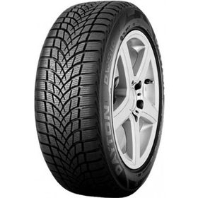 Dayton 175/65 R14 82T DW510 Evo Kış Lastiği