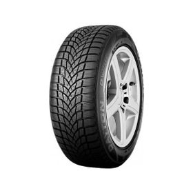 Dayton 175/65 R14 82T DW510E Kış Lastiği