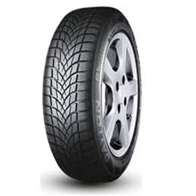 Dayton 175/70 R14 84T DW510E Evo Kış Lastiği
