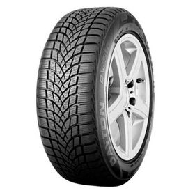 Dayton 195/50 R15 86H XL DW510E Kış Lastiği