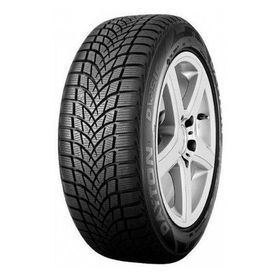 Dayton 195/55 R16 87H DW510 Evo Kış Lastiği