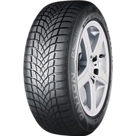 Dayton 205/50 R17 93V XL DW510 Evo Kış Lastiği 2025