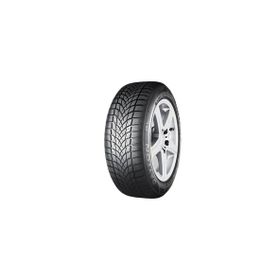 Dayton 205/50 R17 93V XL DW510 Evo Kış Lastiği 2025