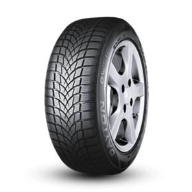 Dayton 205/50R17 DW510E 93V XL Kış Lastiği