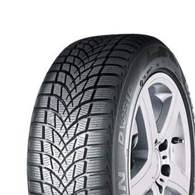 Dayton 205/50R17 DW510E 93V XL Kış Lastiği