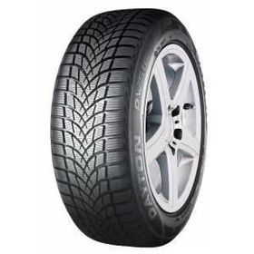 Dayton 205/55 R16 91H DW510E Kış Lastiği 2025