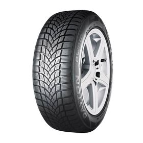 Dayton 205/55 R16 91H DW510E Kış Lastiği