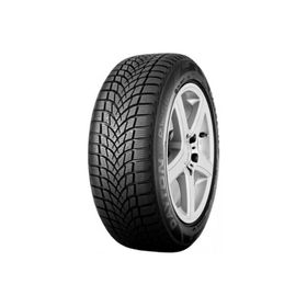Dayton 215/55R16 93H DW510E Kış Lastiği