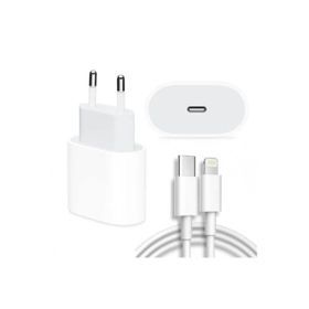 Daytona iPhone 11/11 Pro/12/12 Pro Uyumlu 20 W Hızlı Şarj ve 1 mt Usb C Lightning Şarj Kablosu Set