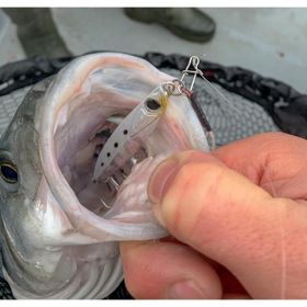 Decathlon Caperlan Biastos Mavi 20 gr Casting Jig Kaşık
