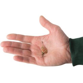 Decathlon Caperlan Weta 2 Kırmızı Noktalı Gümüş Kaşık