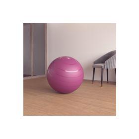 Decathlon Domyos Gym 65 cm M Boy Bordo Pilates Topu