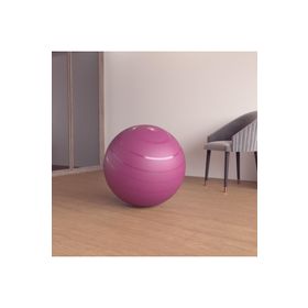 Decathlon Domyos Gym 65 cm M Boy Bordo Pilates Topu