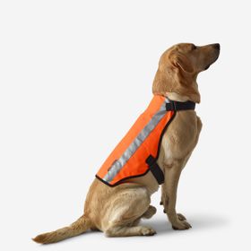 Decathlon Solognac 100 Turuncu Avcılık Köpek Yeleği