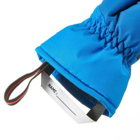 Decathlon Wedze Ski-P GL-100 Siyah Yetişkin Kayak Eldiveni