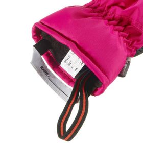 Decathlon Wedze Ski-P GL-100 Siyah Yetişkin Kayak Eldiveni