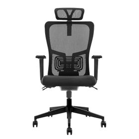 Decofis Lumbar Plus Fileli Yönetici Koltuğu