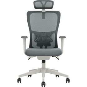 Decofis Lumbar Plus Fileli Yönetici Koltuğu